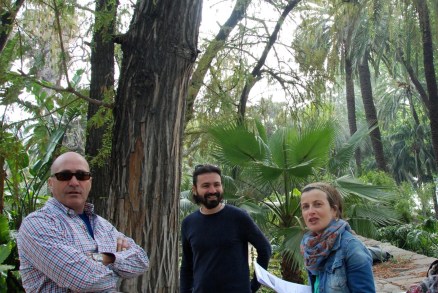 Steve, Ciccio, Pilar